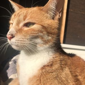 Meet your Posher, Val